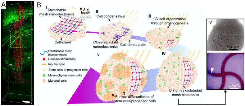 Figure 14