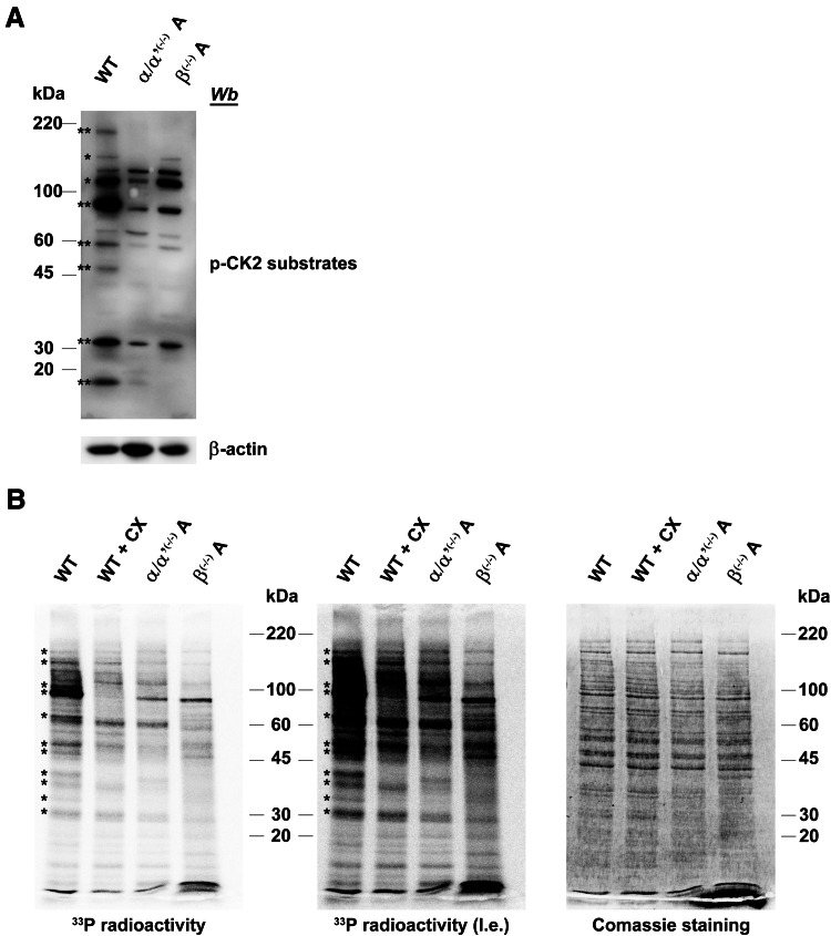 Fig. 7