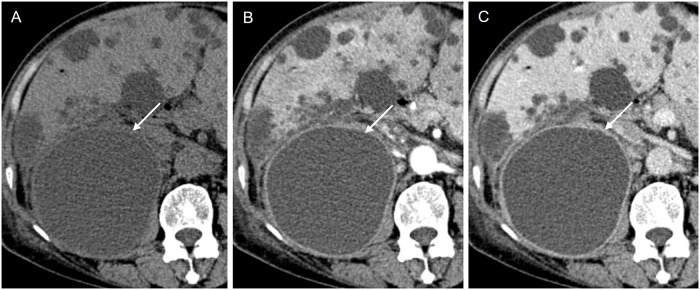 Fig 6