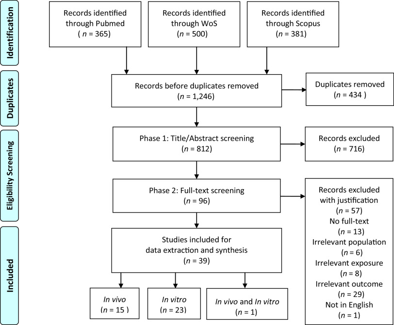 Figure 1 is a flowchart having four categories, namely, Identification, Duplicates, Eligibility screening, and Included. Identification has one step: 365 Records identified through PubMed, 500 Records identified through Web of Science and 381 Records identified through Scopus lead to 1246 Records after duplicates removed. Duplicates has one step: 1246 Records after duplicates removed from which 434 duplicates were removed. Eligibility screening has two steps. Step 1: 1246 Records before duplicates removed from which 434 duplicates were removed leads to Phase 1: 812 Title per abstract screening from which 716 records were excluded. Step 2: Step 1 leads to Phase 2: 96 full test screening from which 57 Records excluded with justification, 13 No full-text, 6 Irrelevant population, 8 Irrelevant exposure, 29 Irrelevant outcome, and 1 was not in English. Included has two steps. Step 1: Phase 2: 96 full test screening leads to 39 Studies included for data extraction and synthesis. Step 2: 39 Studies included for data extraction and synthesis, including 15 in vivo, 23 in vitro, and 1 in vivo and in vitro.