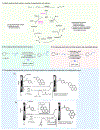 Figure 11.