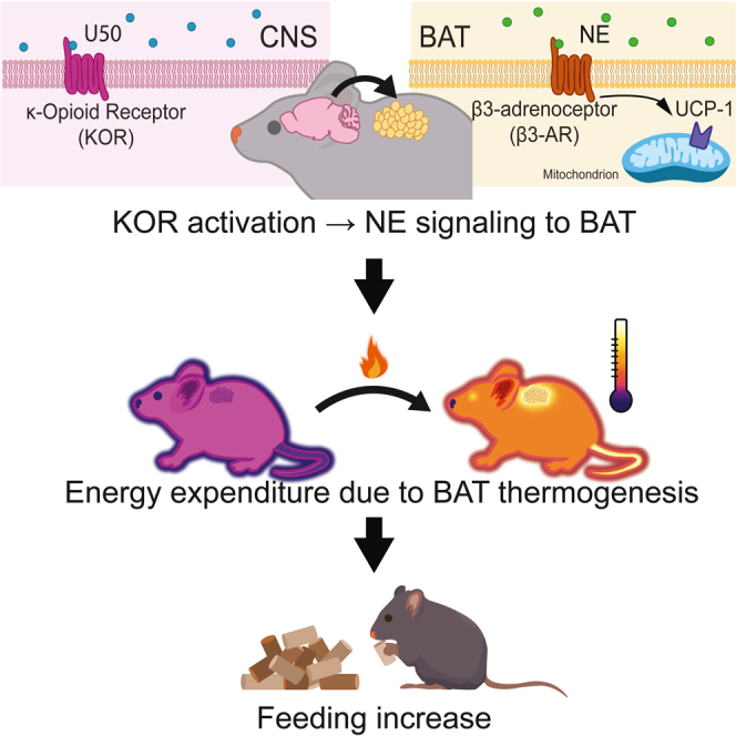 graphic file with name fx1.jpg