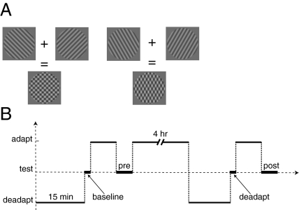 Fig. 5.