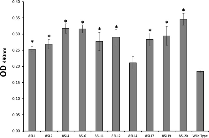 Fig. 3