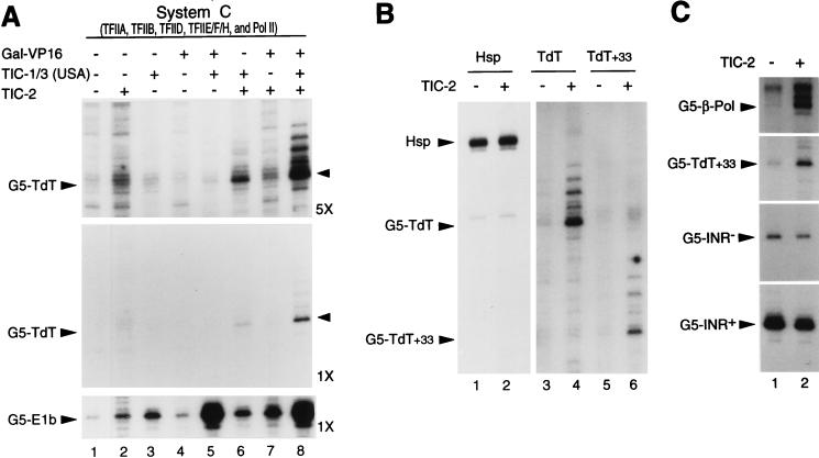 FIG. 7