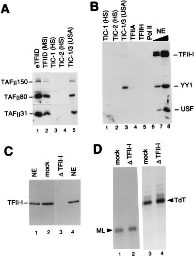 FIG. 5