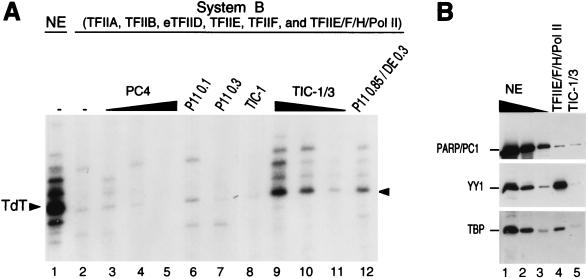 FIG. 6