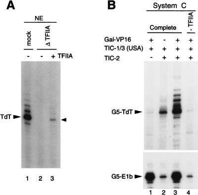 FIG. 8