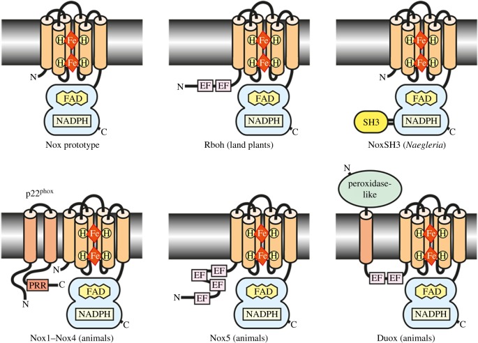 Figure 1.