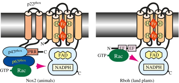 Figure 2.