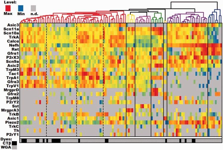 Figure 5.