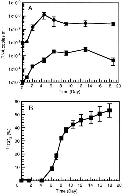 FIG. 5.