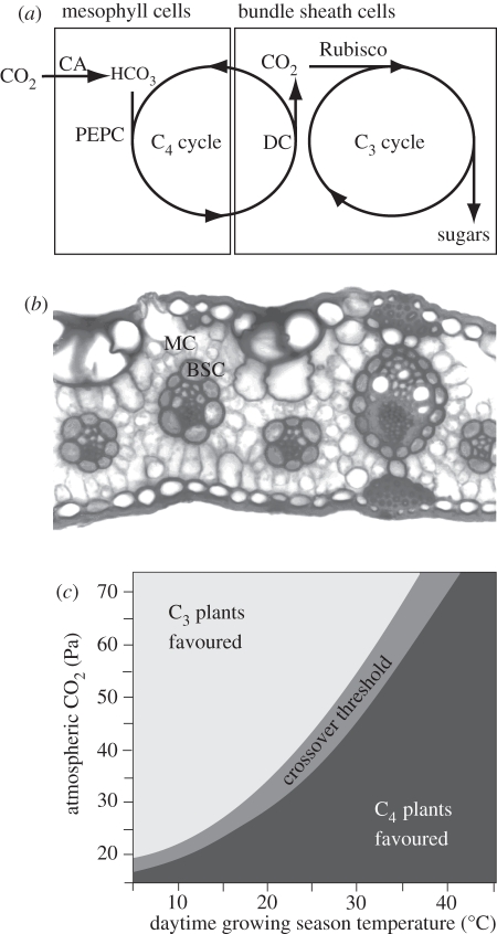 Figure 1.