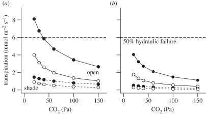 Figure 6.