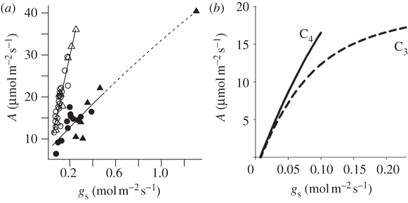 Figure 4.