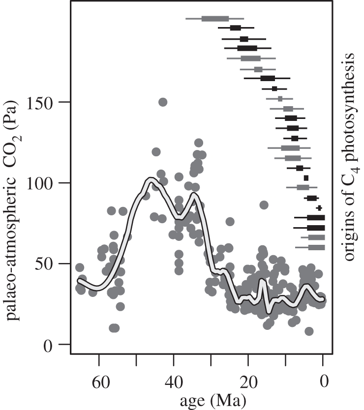 Figure 2.