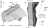 Figure 2AB