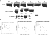 Figure 4AB