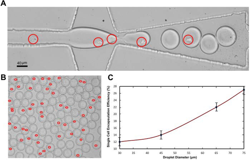 Figure 2: