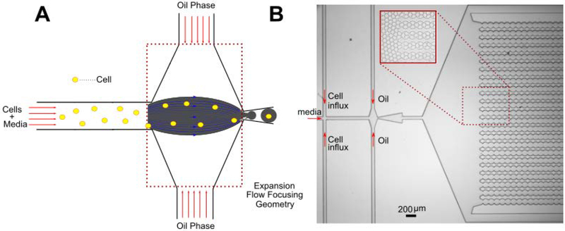 Figure 1: