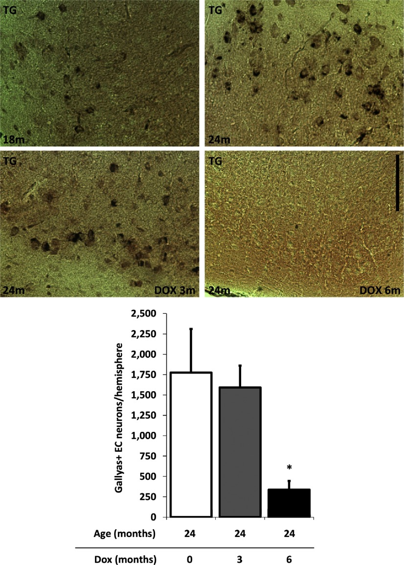 Figure 6.