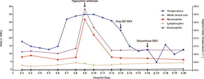 FIGURE 1