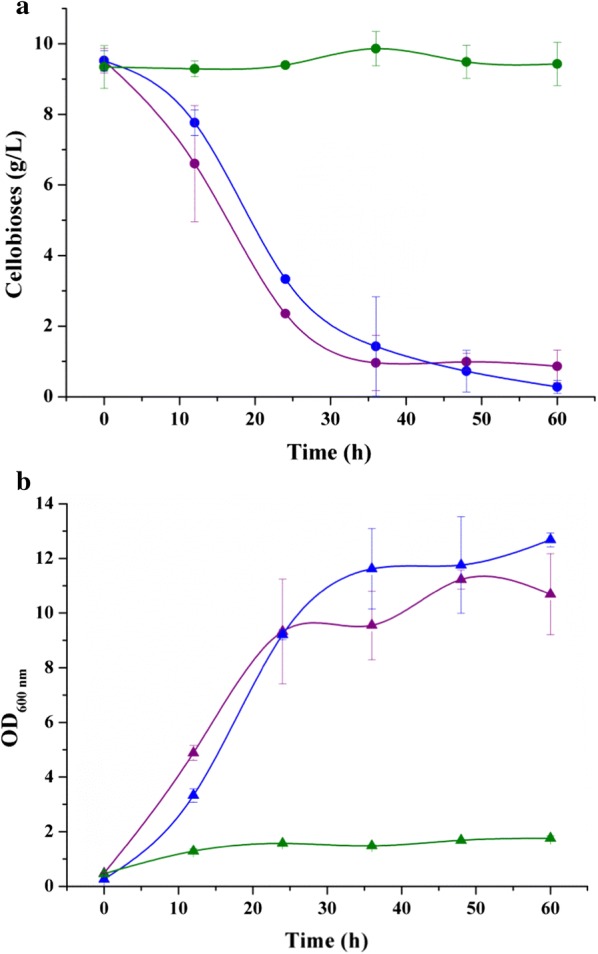 Fig. 6