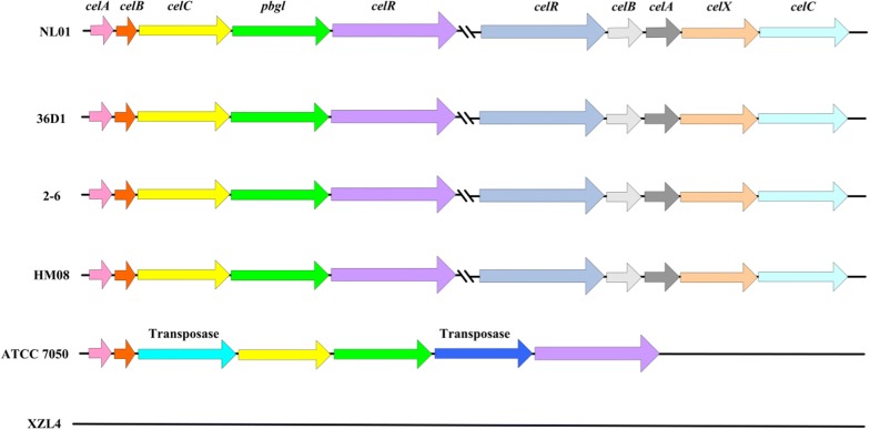 Fig. 3