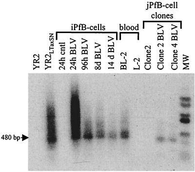 FIG. 6