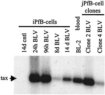 FIG. 7