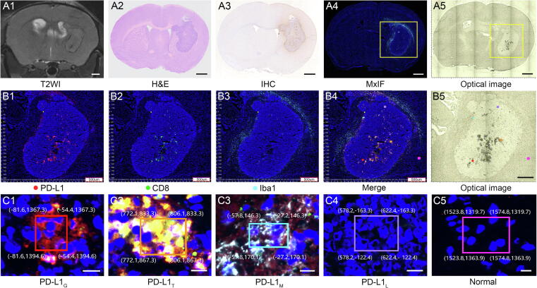 Fig. 1