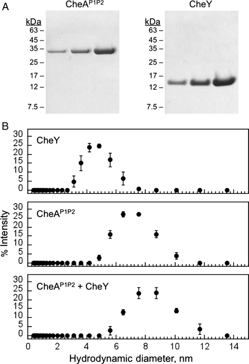 Fig. 5