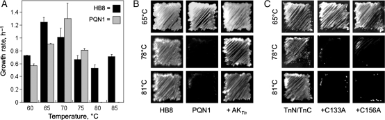 Fig. 3