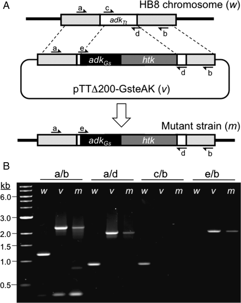 Fig. 2