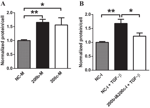 FIGURE 10.