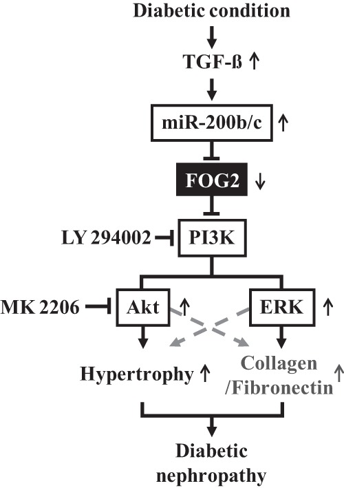 FIGURE 11.