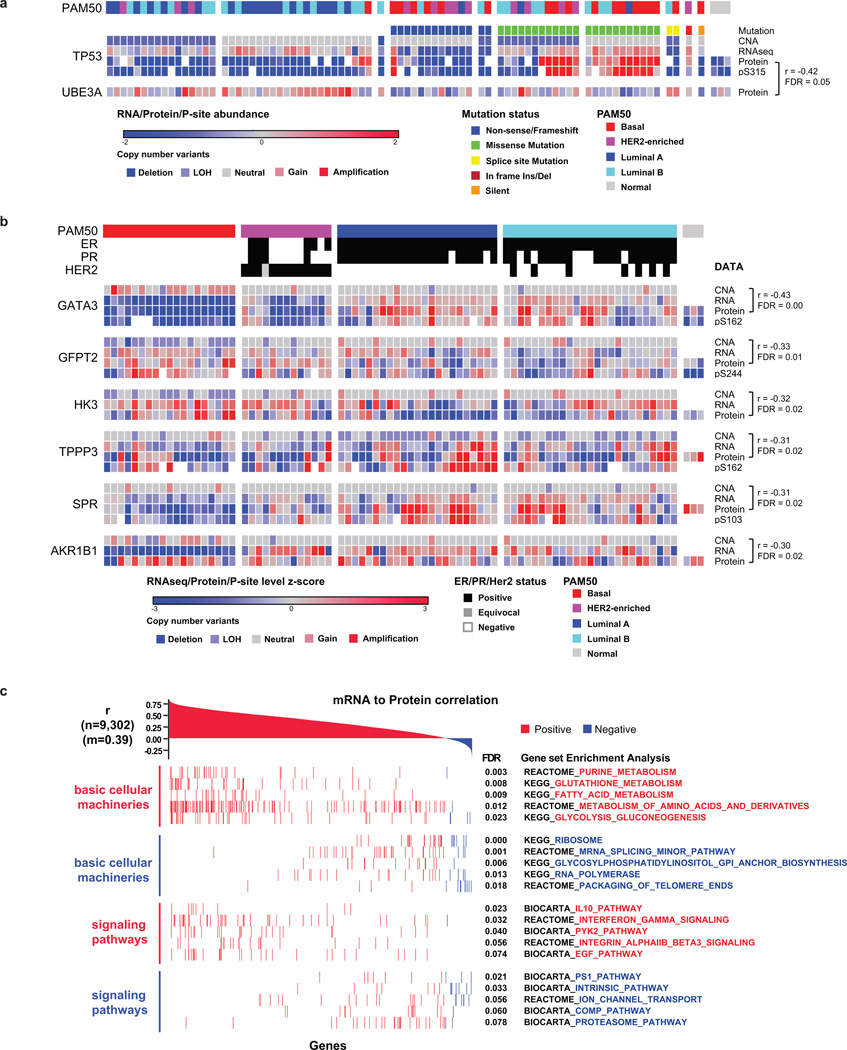 Extended Data Figure 4