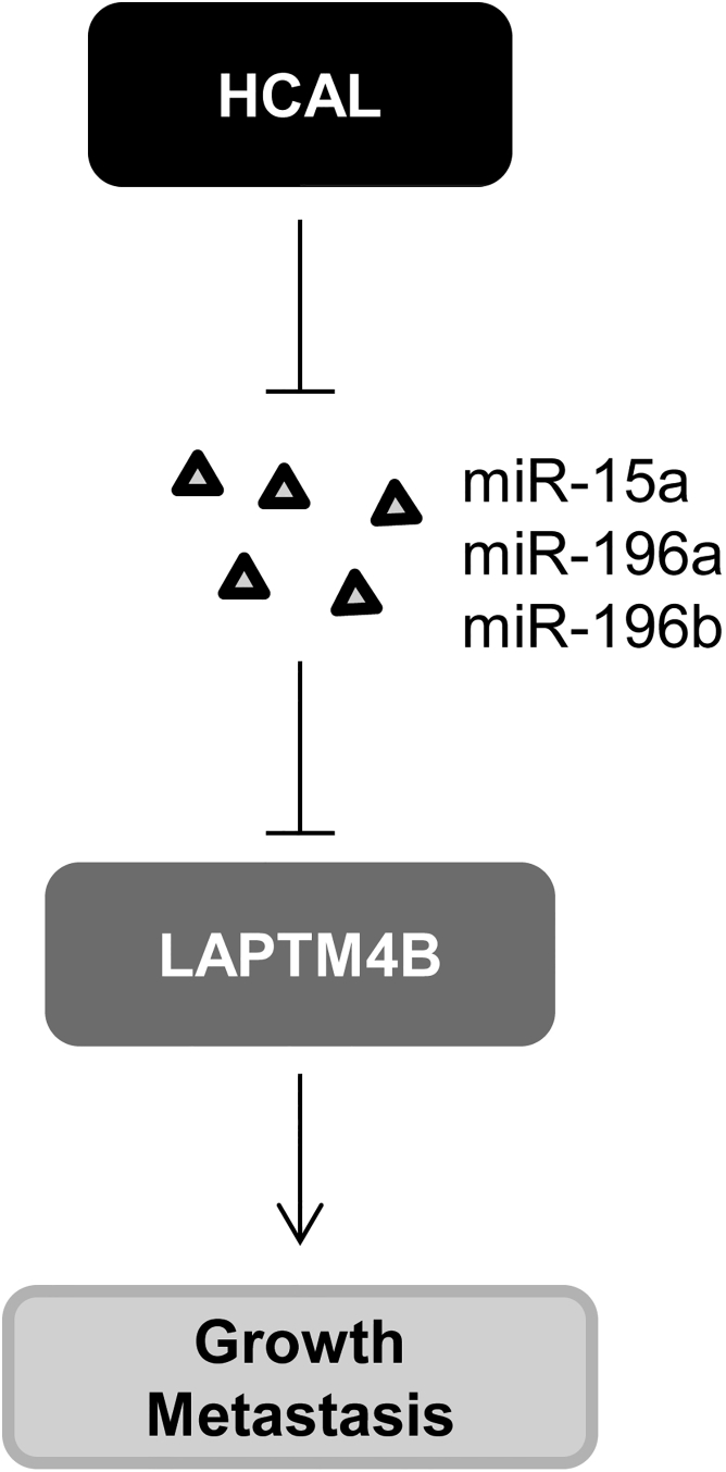 Figure 7