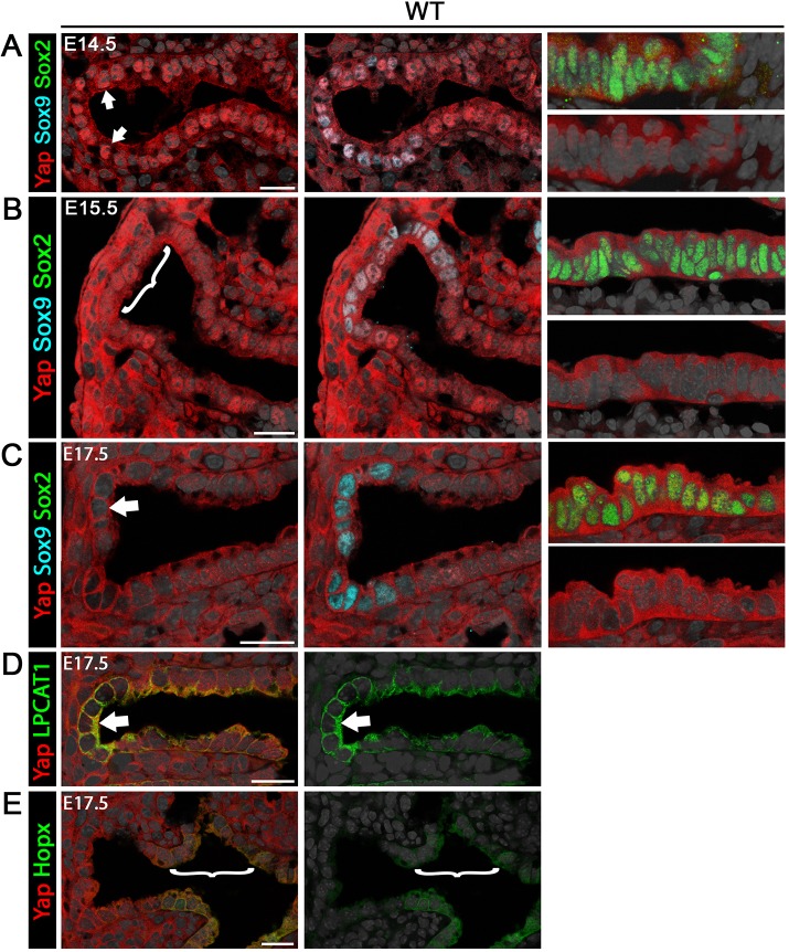 Fig. 3.