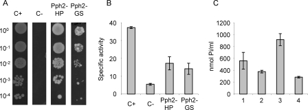 FIGURE 7.