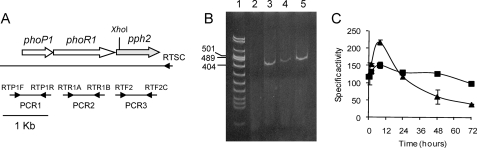 FIGURE 2.