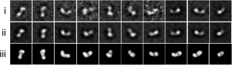 Figure 1—figure supplement 2.