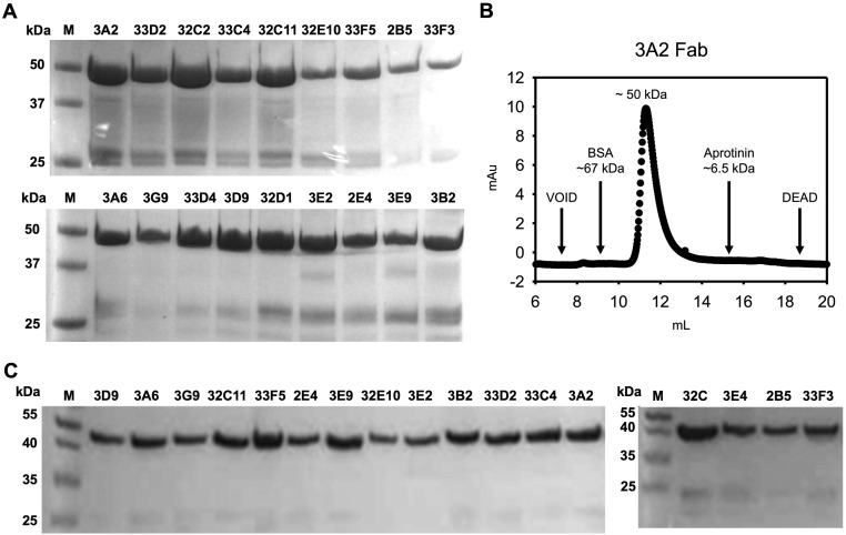 Fig. S5.