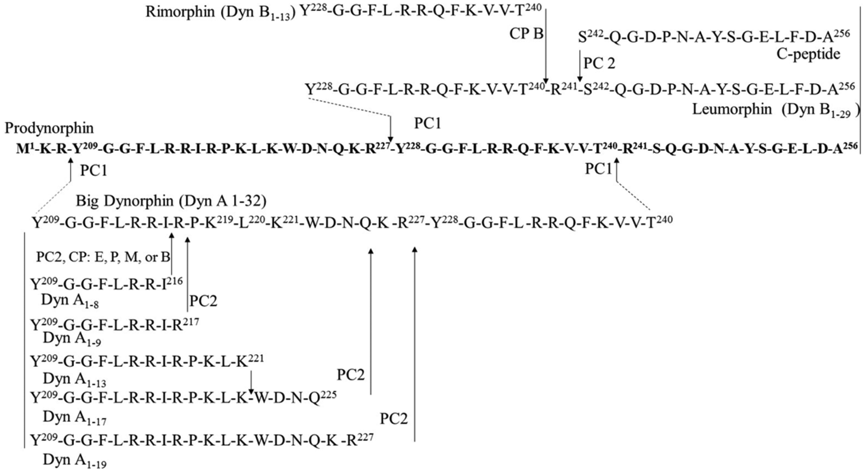 Fig. (1).