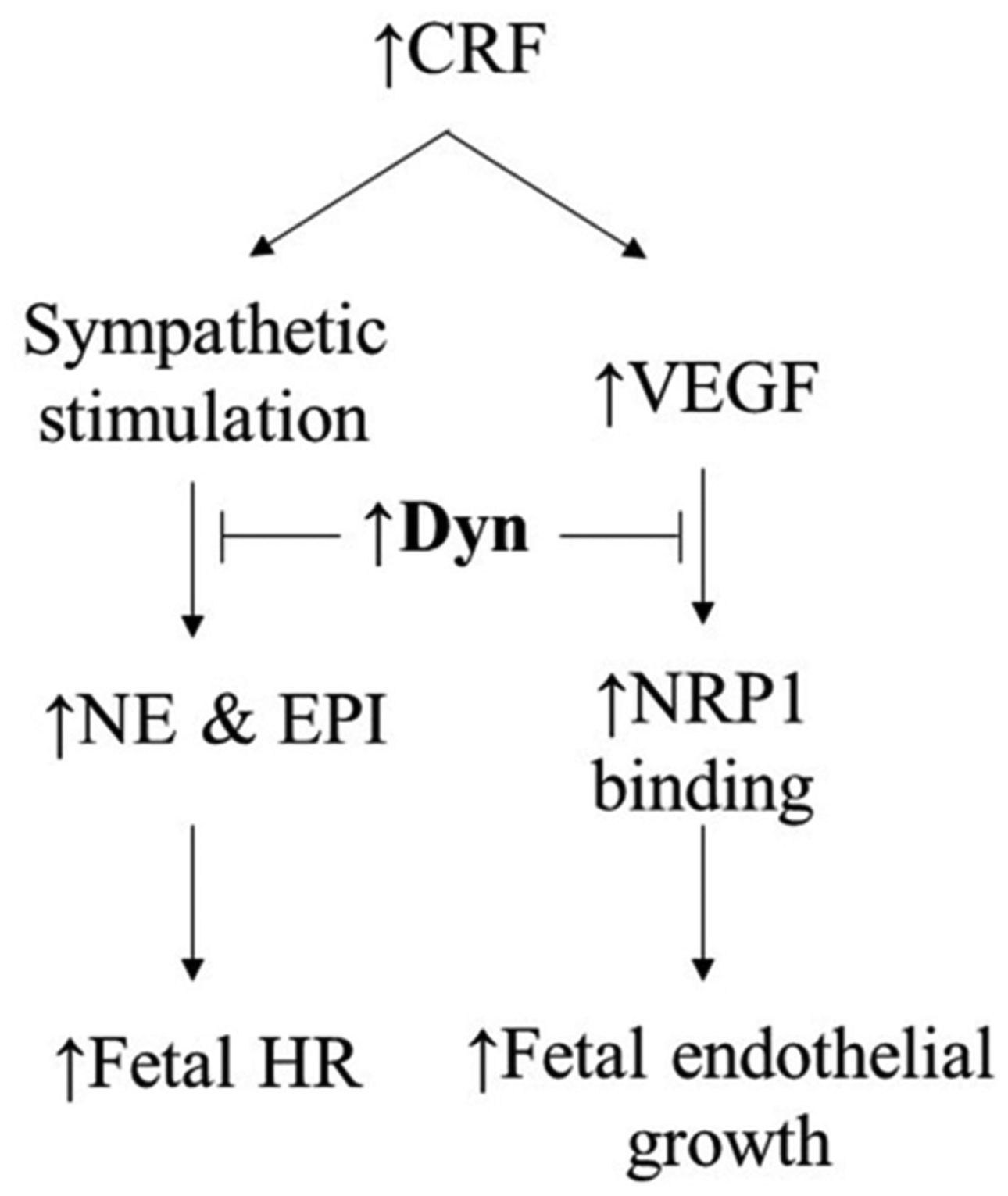 Fig. (3).