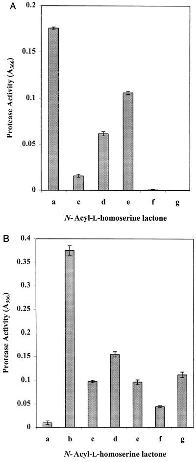 FIG. 6