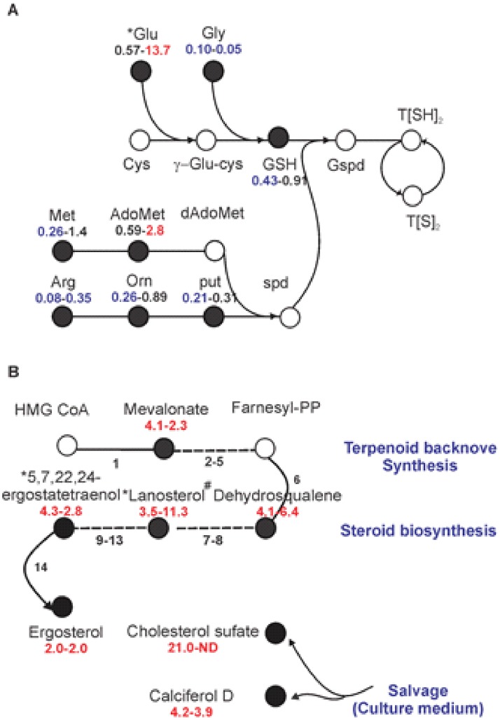 Fig 6