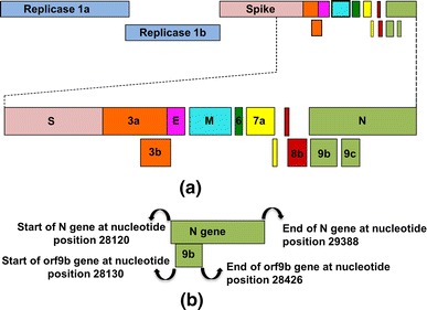 Fig. 1