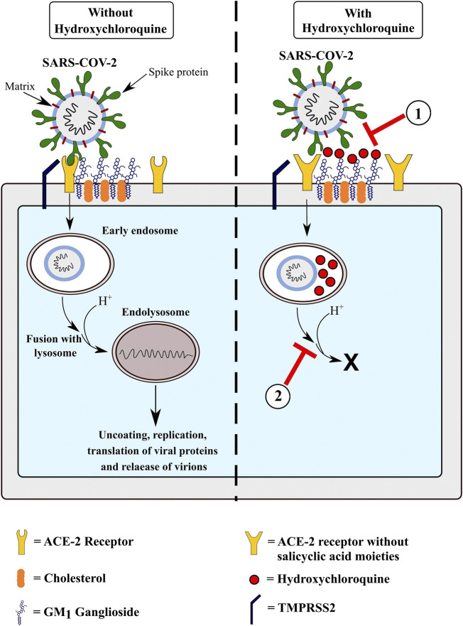 FIGURE 1