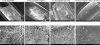 FIG. 6.